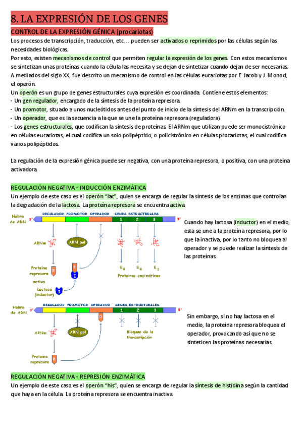 Miniatura del documento 8.-LA-EXPRESION-DE-LOS-GENES.pdf