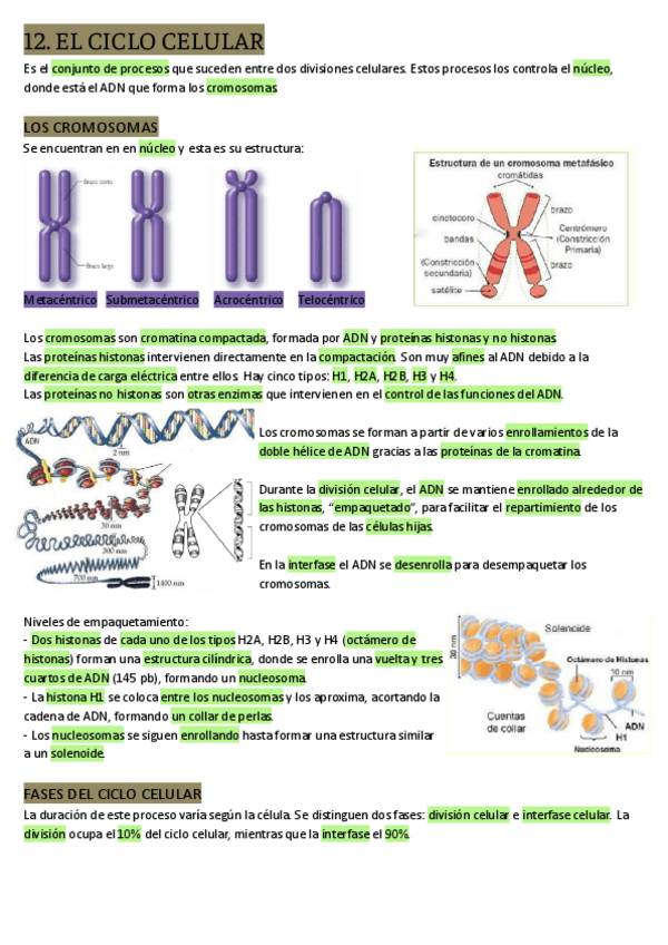 Miniatura del documento 12.-EL-CICLO-CELULAR.pdf