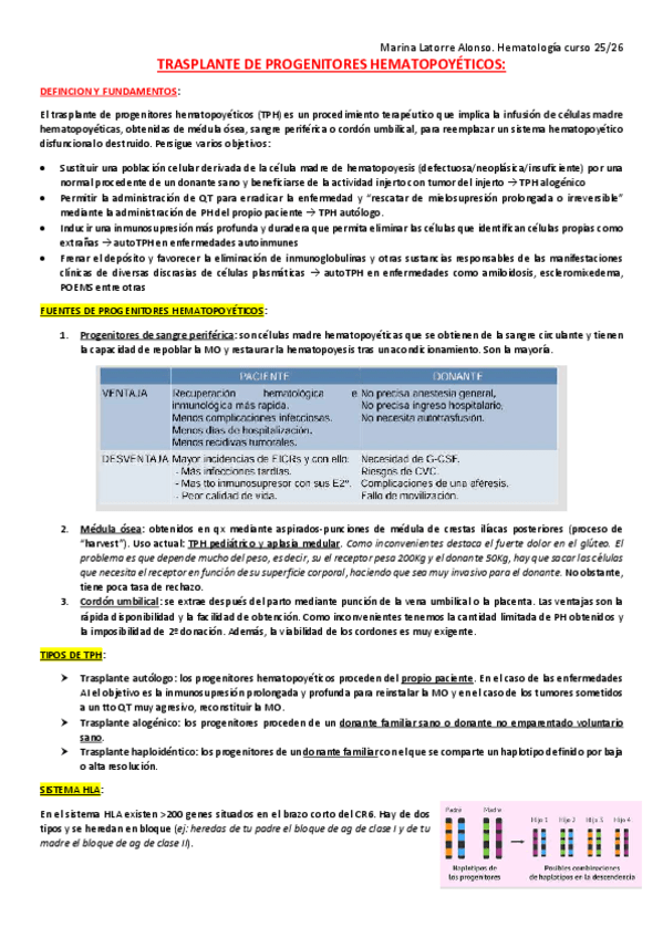 Miniatura del documento TPH-y-terapia-CART.pdf
