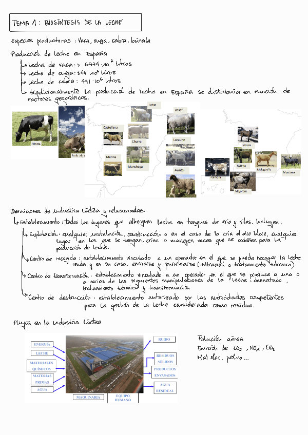 Miniatura del documento T1-LACTEOS.pdf