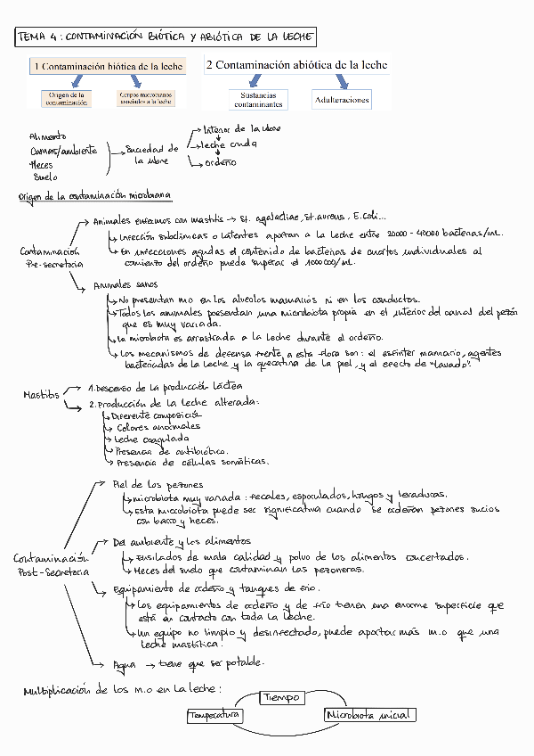 Miniatura del documento T4-LACTEOS.pdf