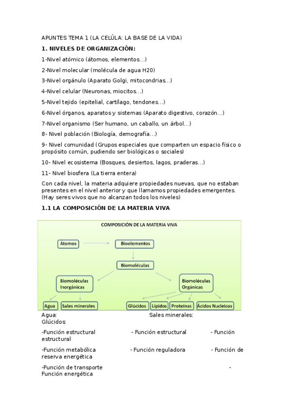 Miniatura del documento Apuntes-tema-1.docx
