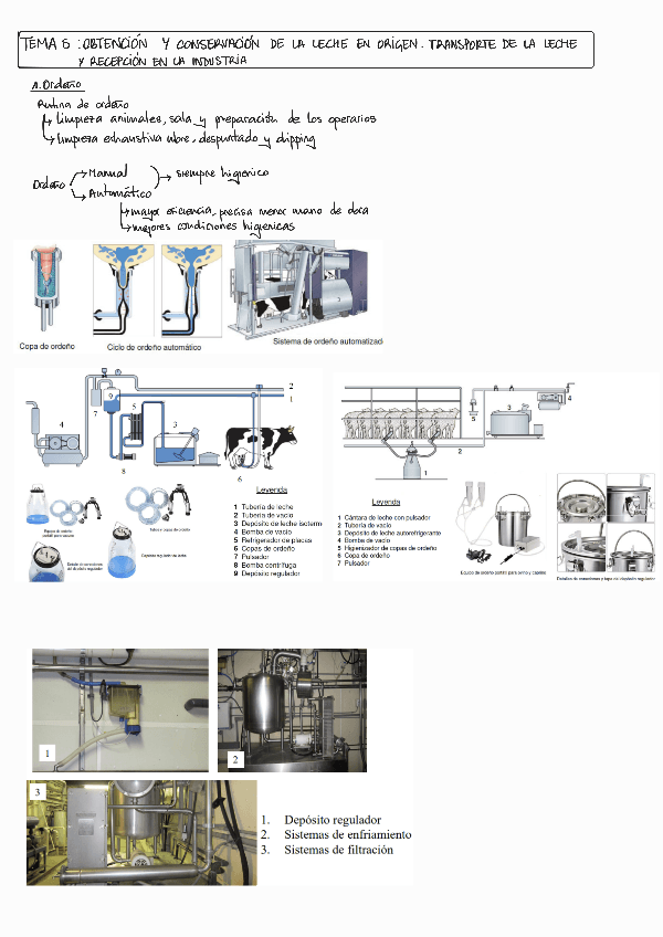 Miniatura del documento T5-LACTEOS.pdf