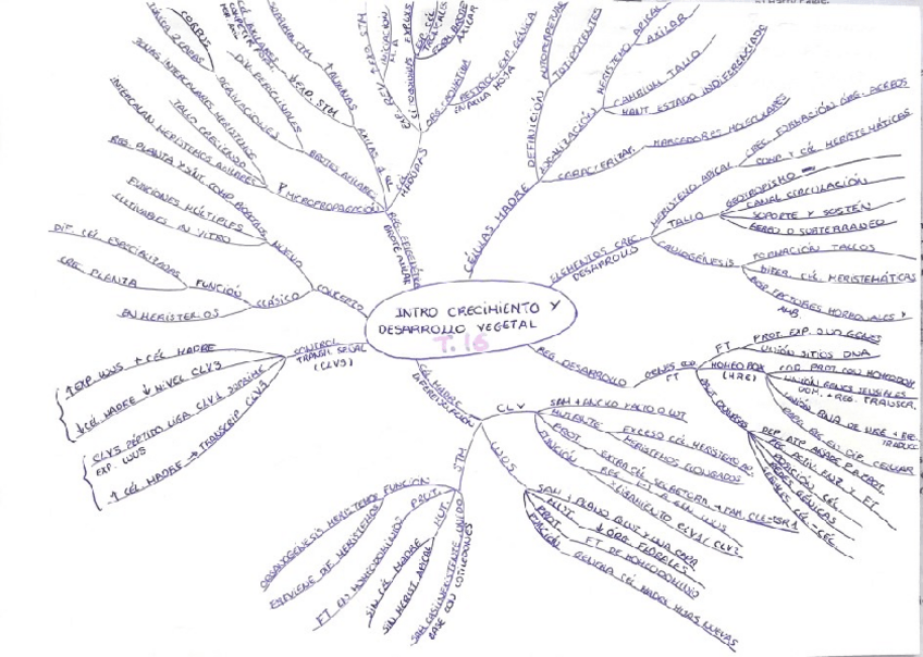 Miniatura del documento Mapas-mentales-T16-19.pdf