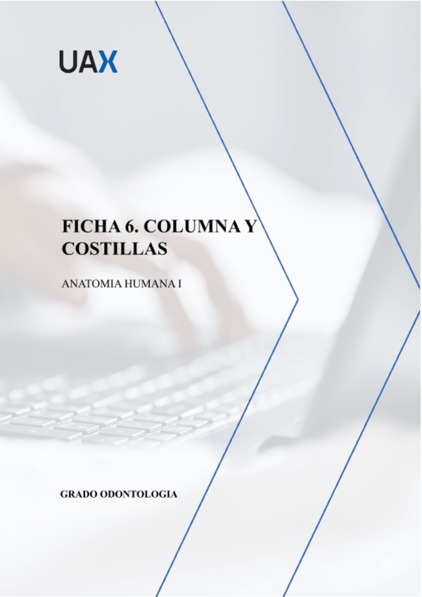 Miniatura del documento ficha-6-columna-vertebral.pdf