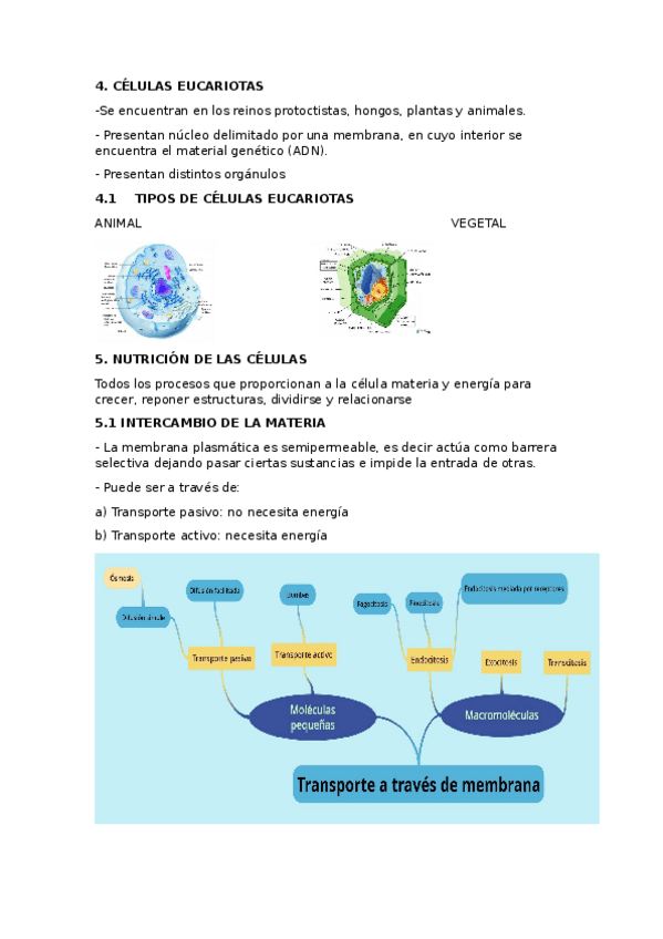 Miniatura del documento Apuntes-tema-1--parte-2-.docx
