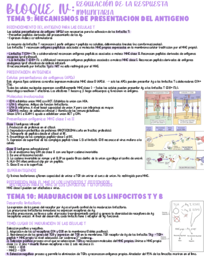 Miniatura del documento Bloque-4-castellano.pdf