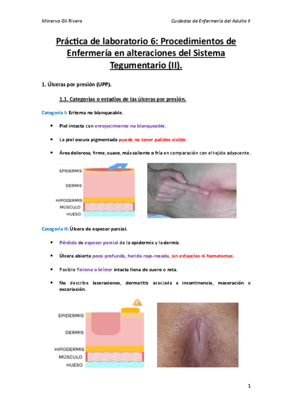 Miniatura del documento Practica-de-laboratorio-6.pdf