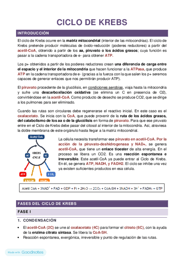 Miniatura del documento CICLO-DE-KREBS.pdf