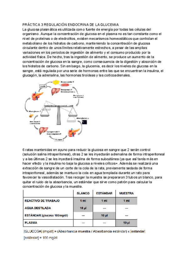 Miniatura del documento Practica-3.pdf