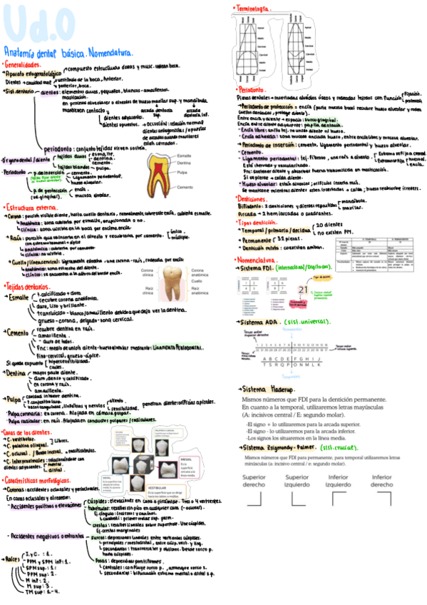 Miniatura del documento Resumen-Ud.1-intervencion.pdf