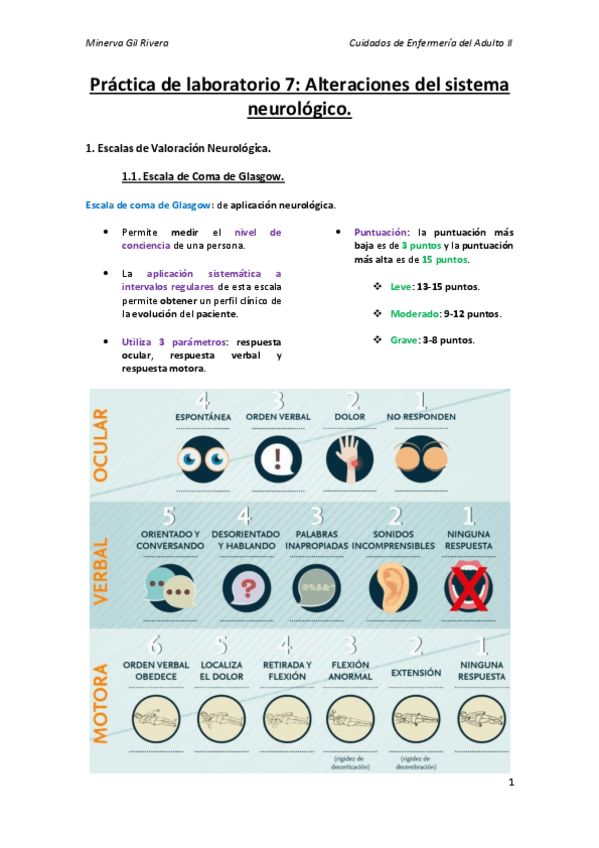 Miniatura del documento Practica-de-laboratorio-7.pdf