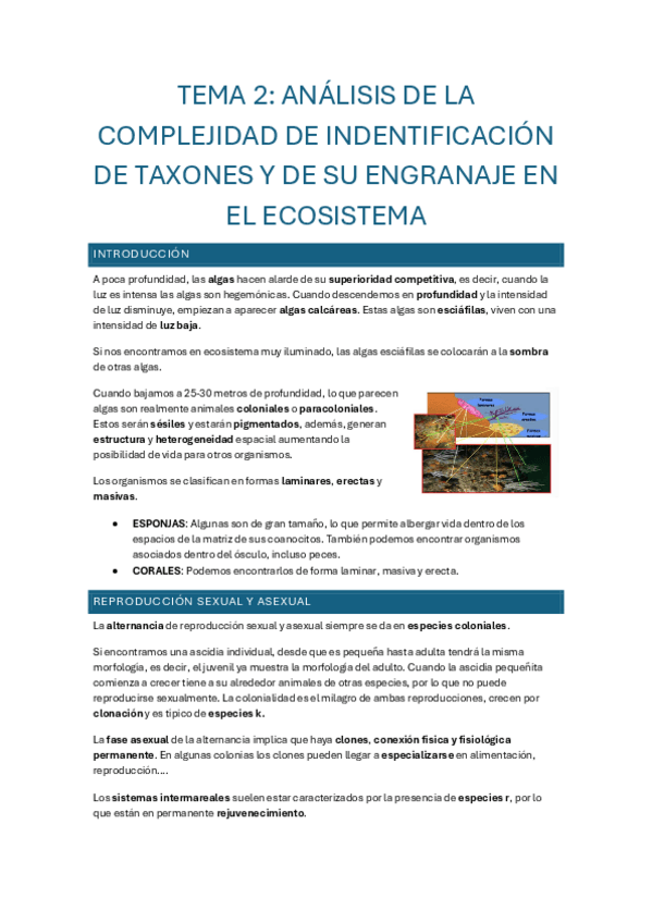 Miniatura del documento Tema-2.pdf