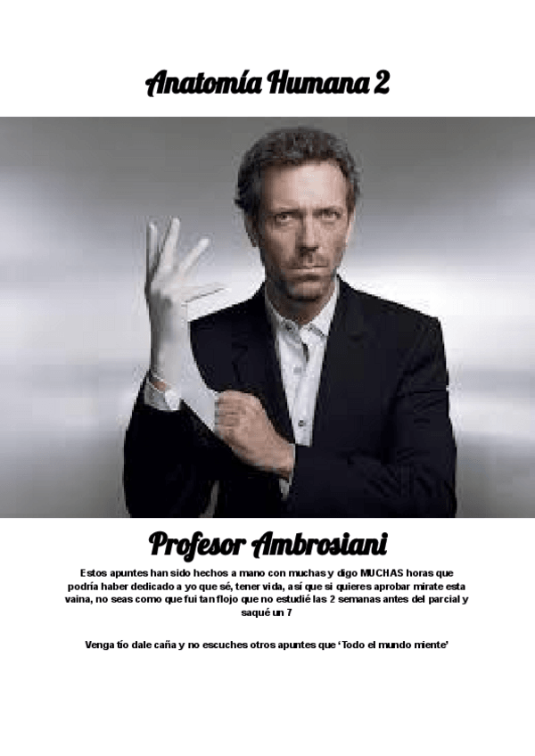 Miniatura del documento Anatomia-humana-2-esplacno.pdf