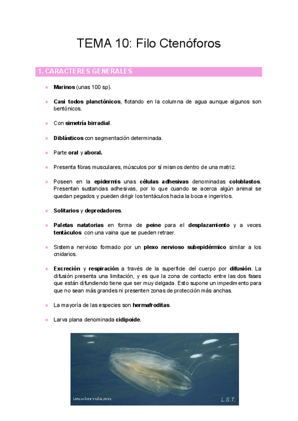 Miniatura del documento TEMA-10-Filo-Ctenoforos.pdf