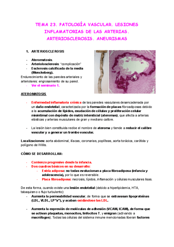 Miniatura del documento Tema-23.pdf