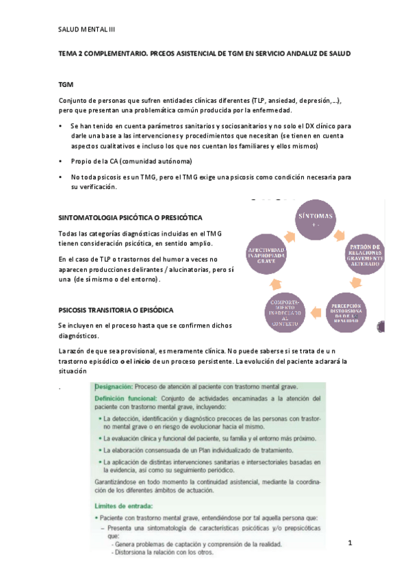 Miniatura del documento TEMA-2-COMPLEMENTARIO.-SALUD-MENTAL-III.pdf