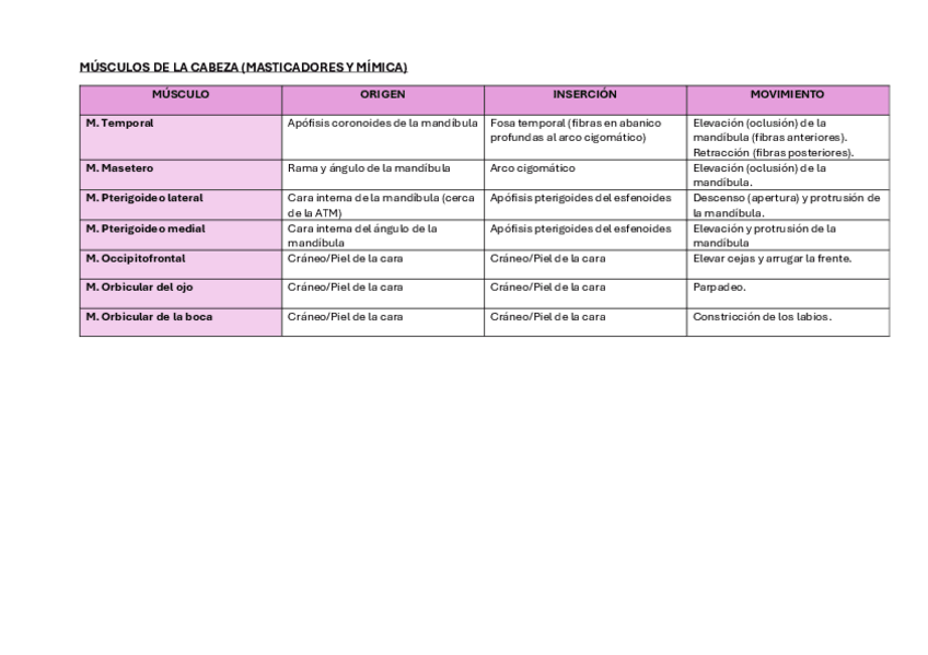 Miniatura del documento Tabla músculos.pdf.pdf