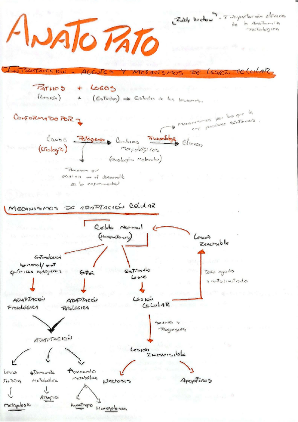 Miniatura del documento APX-2023-2024.pdf