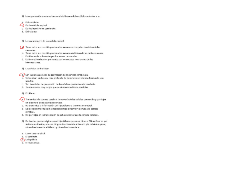 Miniatura del documento preguntas.pdf.pdf