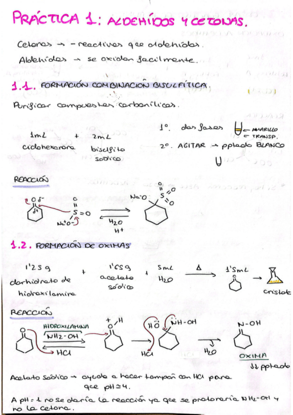 Miniatura del documento practicas-organica-II.pdf