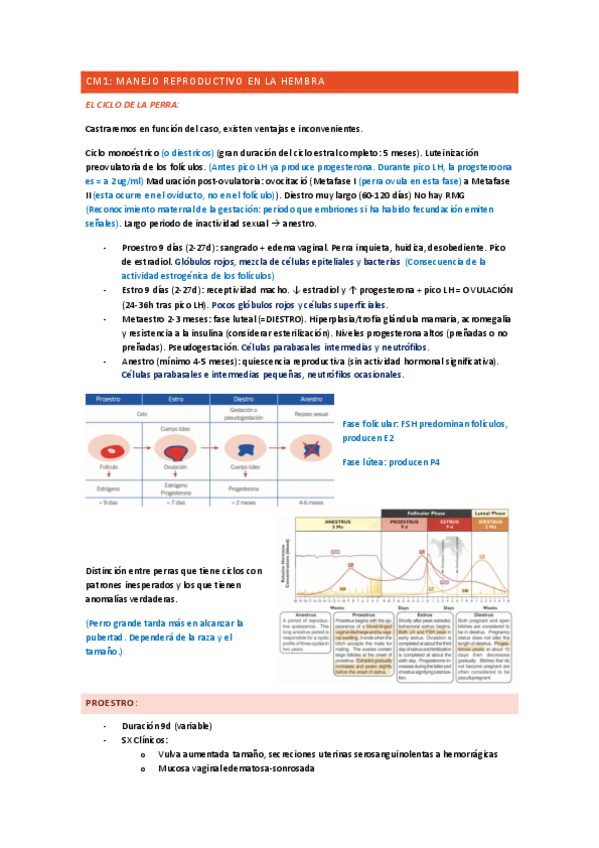 Miniatura del documento REPRO.pdf