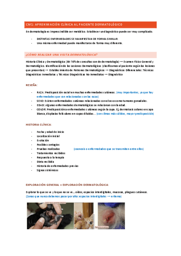 Miniatura del documento DERMA.pdf