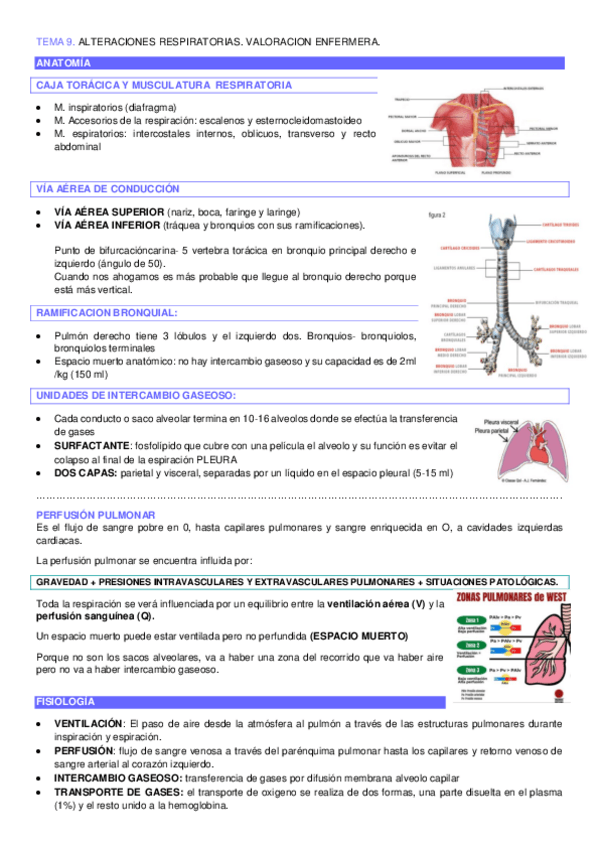 Miniatura del documento TEMA-9ALTERACIONES-RESPIRATORIAS.-VALORACION-ENFERMERA..pdf