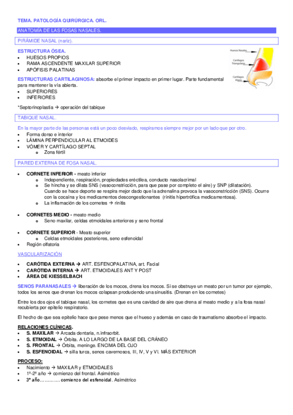 Miniatura del documento TEMA-1-ANATOMIA-Y-FISIO-NASOSINUSAL.pdf