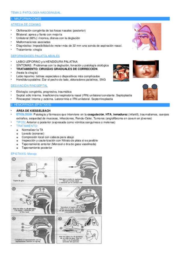 Miniatura del documento TEMA-2-PATOLOGIA-NASOSINUSAL.pdf