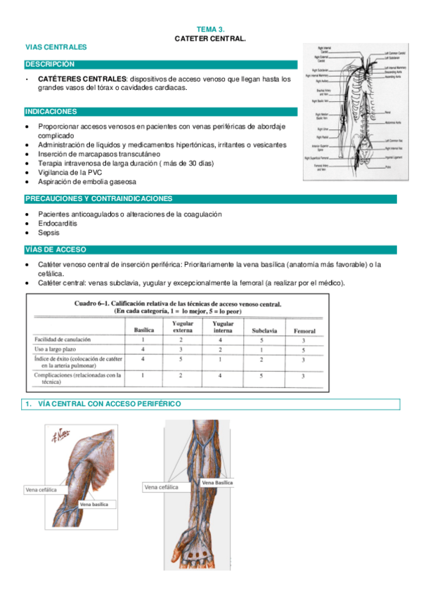 Miniatura del documento TEMA-3CATETER-CENTRAL.pdf
