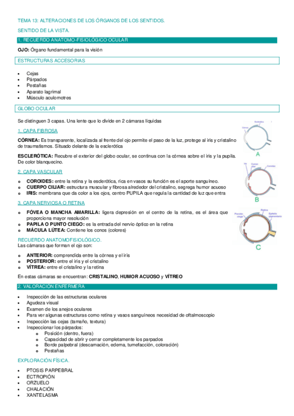 Miniatura del documento TEMA-13.-ALTERACIONES-D-ELOS-ORGANOS-DE-LOS-SENTIDOS.pdf