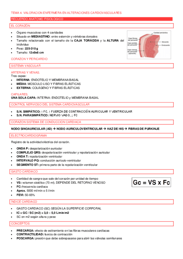Miniatura del documento TEMA-4VALORACION-ENFERMERA.pdf