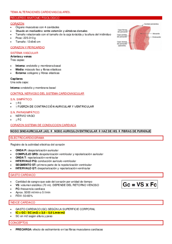 Miniatura del documento TEMA-ALTERACIONE-SCARDIOVASCULARES.pdf