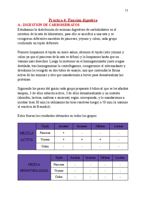 Miniatura del documento Practica-4-FANI.pdf