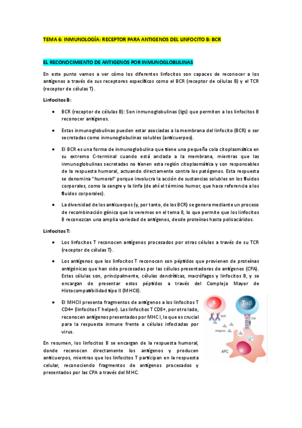 Miniatura del documento TEMA-6.pdf