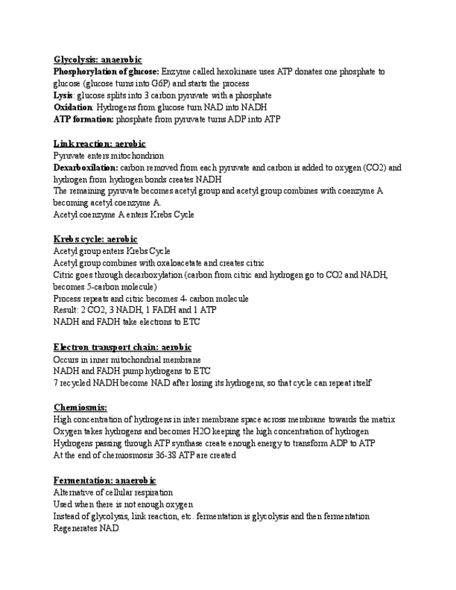 Miniatura del documento cellular-respiration-1.pdf