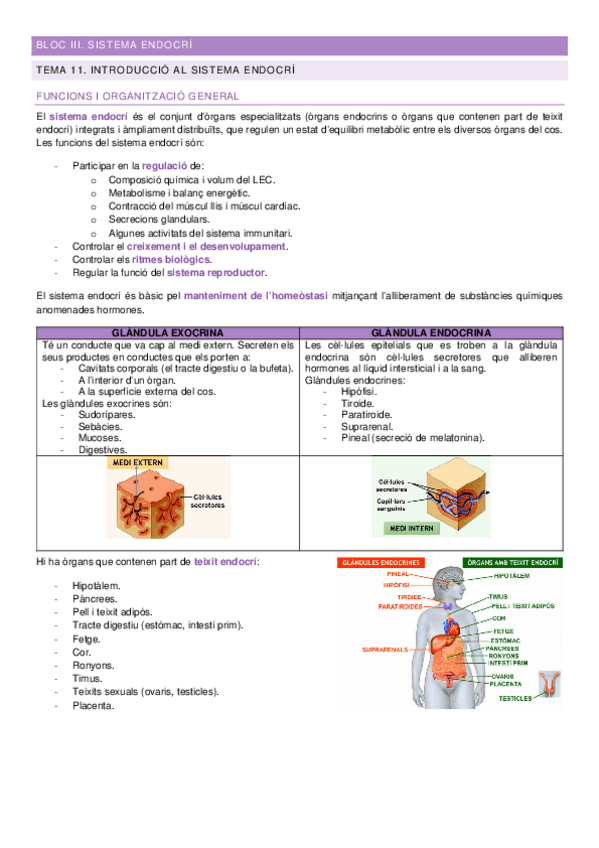 Miniatura del documento Apuntes-Bloc-III-FFPIII.pdf