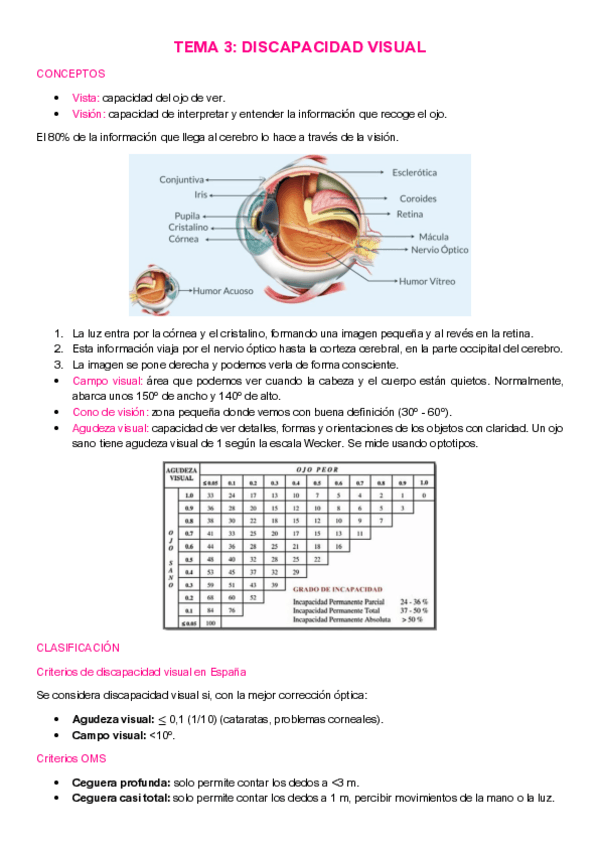 Miniatura del documento apuntes-fundamentos-3.1.pdf