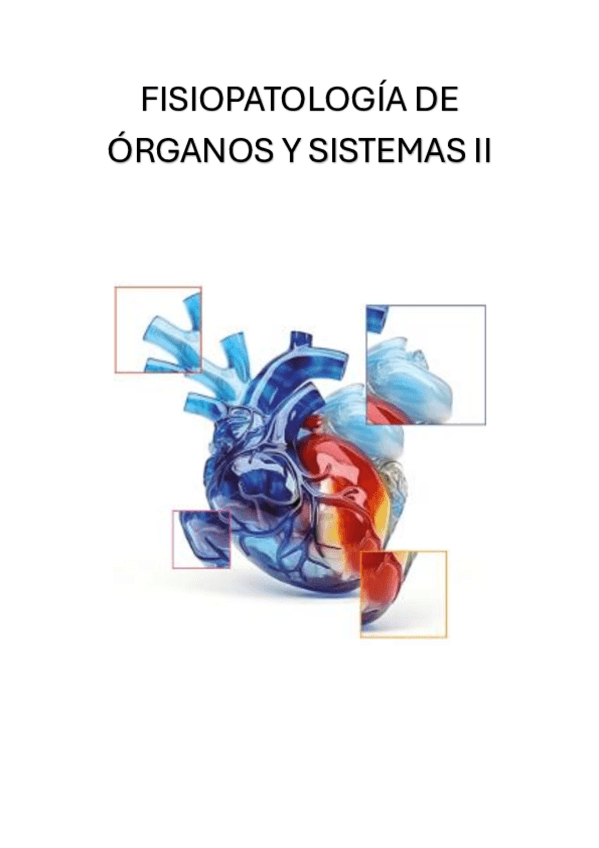 Miniatura del documento LIBRO-COMPLETO-CON-SEMINARIOS-FOS-II-2025.pdf