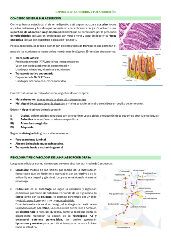 Miniatura del documento CAPITULO-52.-malabsorcion.pdf
