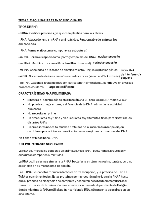 Miniatura del documento Apuntes-1-Parcial.pdf