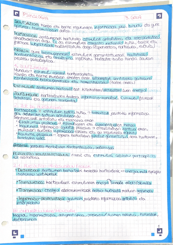 Miniatura del documento 3.-gaia-pertzepzioa.pdf
