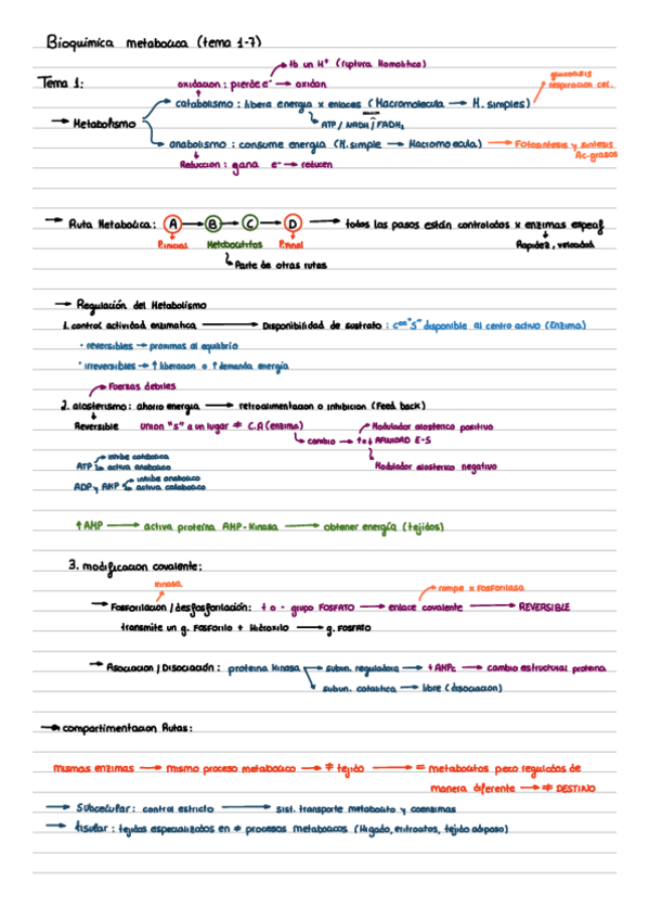 Miniatura del documento Repaso-bioquimica-metabolica.pdf