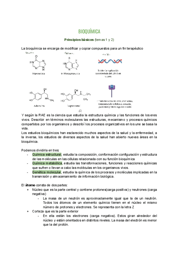 Miniatura del documento Apuntes-bioquimica.pdf
