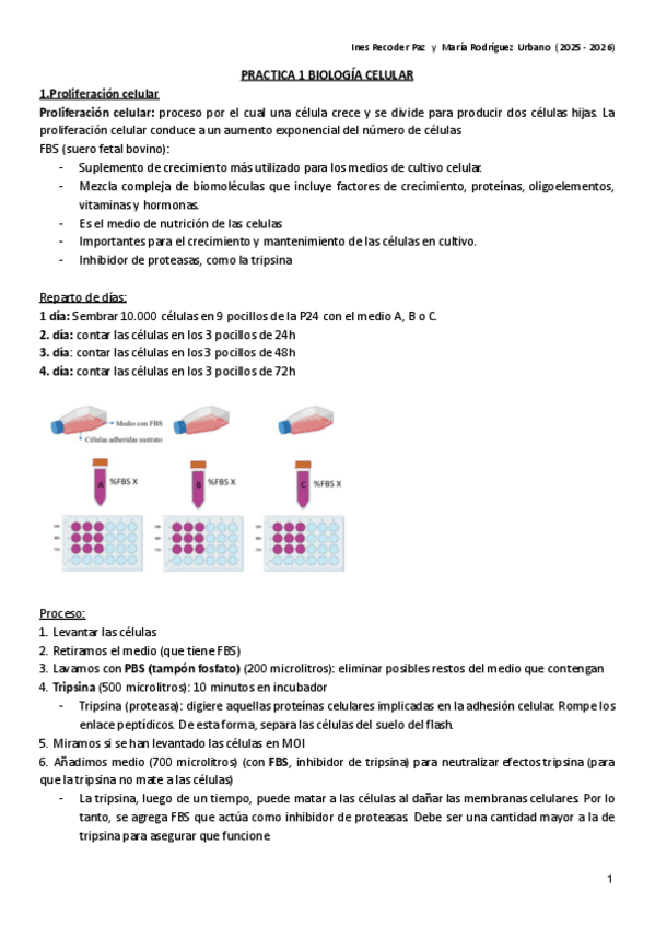 Miniatura del documento Practicas-biologia-celular.pdf