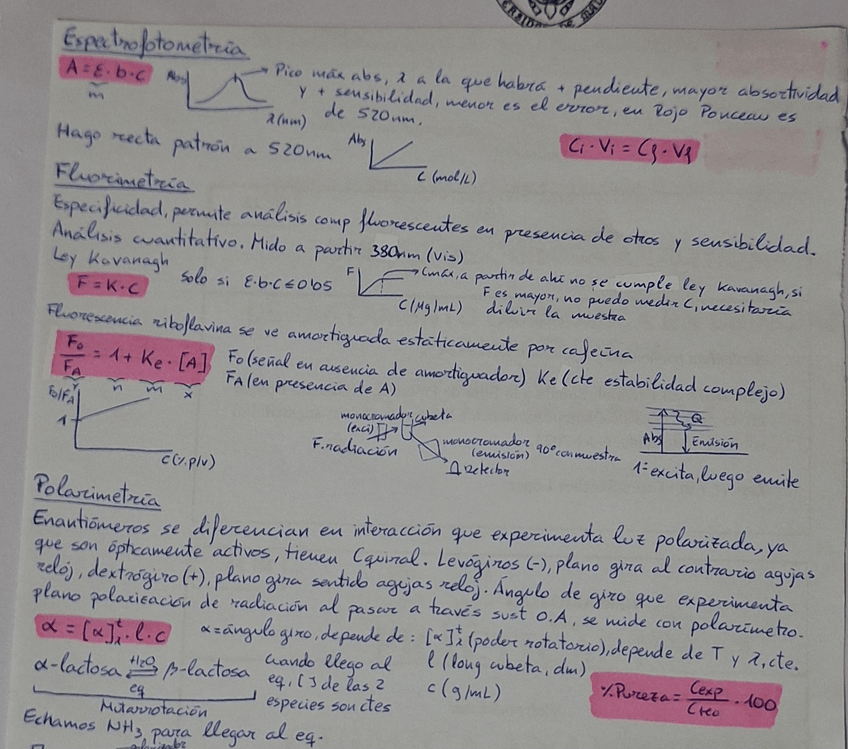 Miniatura del documento 20251116210253.jpg