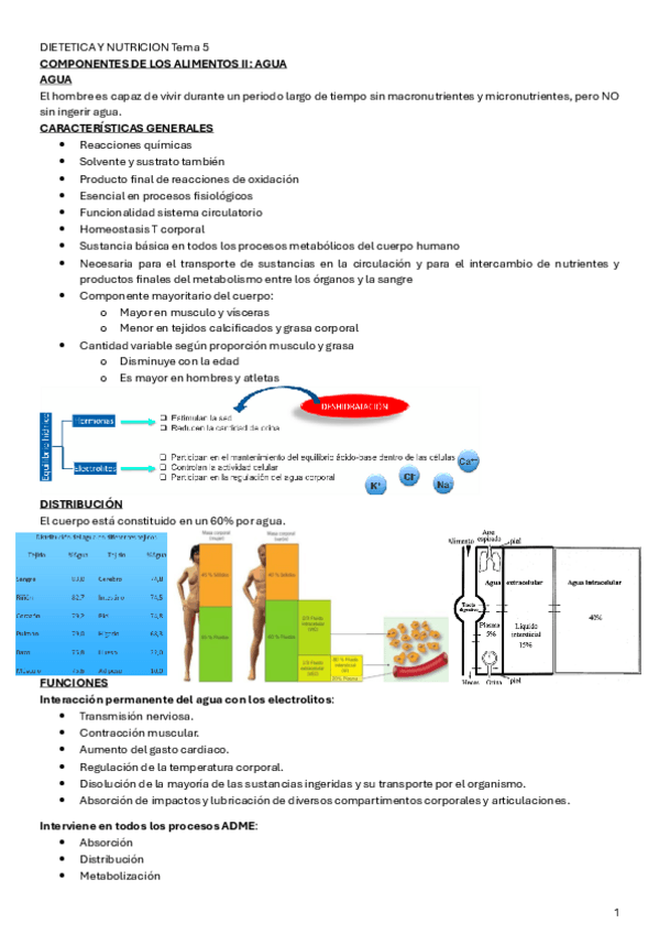 Miniatura del documento DIETETICA-Y-NUTRICION-Tema-5.pdf