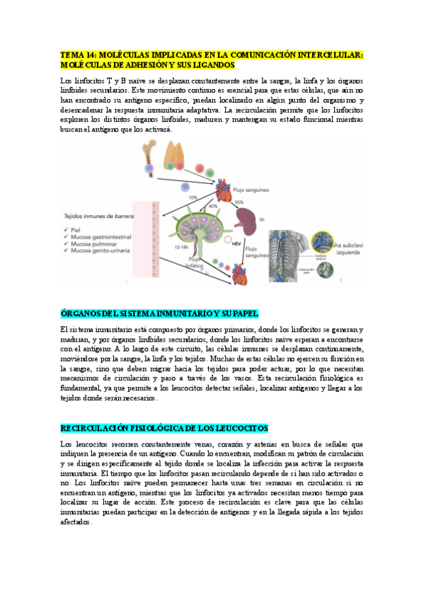 Miniatura del documento TEMA-14.pdf