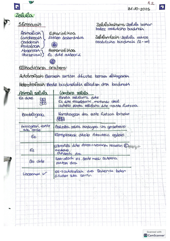 Miniatura del documento Biologia-4ESO-de-ciencias-en-Euskera-ZelulaBost-erreinuakelikadura-Zelularen-Zikloa-Landare-eta-Animali-zelula-Izenak-eta-funtzioak-Zelula-prokariotikoa-Kariotipoak-Kromosoma-motak-eta-Gorputzeko-2-Zelula-mota-.pdf